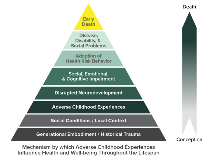 Mechanism by which Adverse Childhood Experiences Influence Health and Well-being Throughout the Lifespan
