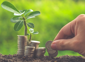 photo of a hand placing money by a small plant
